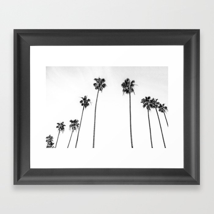 Black + White Palms Gerahmter Kunstdruck