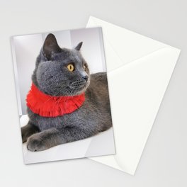Shorthair Cat Staring At Something Interesting Stationery Card