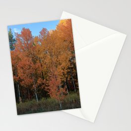 Foliage, Clayton, WA 2 Stationery Card