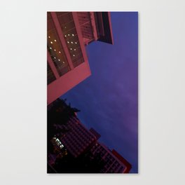 pink evening Canvas Print