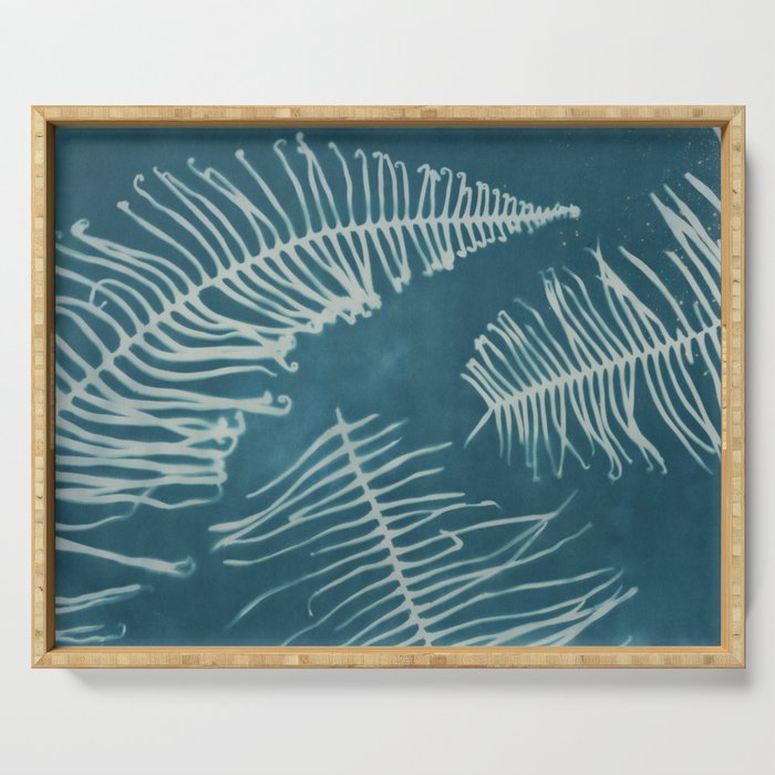 curled ferns on teal Serving Tray