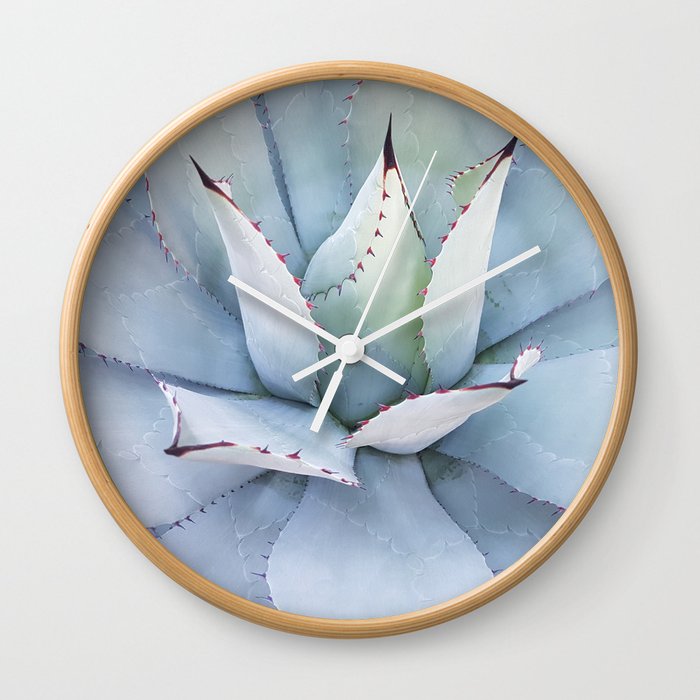 Mexico Photography - The Beautiful Agave Plant Wall Clock