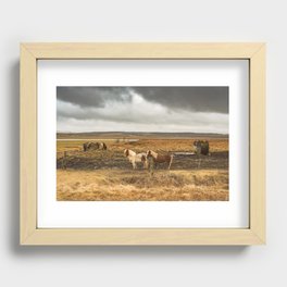 Iceland Horse Pair Recessed Framed Print