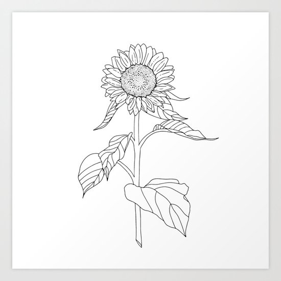 Sunflower Drawing Art Print By Carliandme Society6