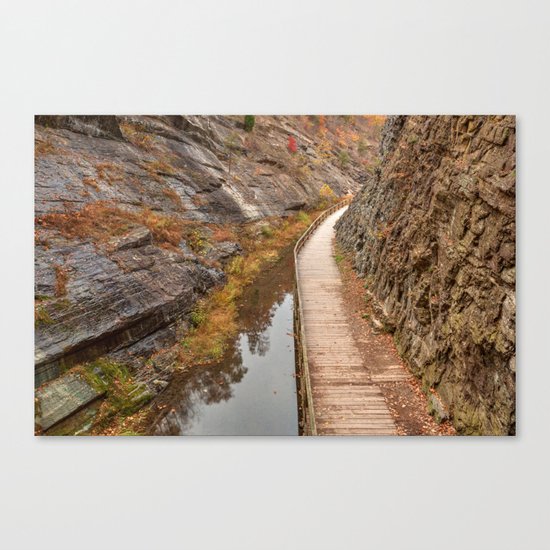Paw Paw Boardwalk Trail Canvas Print
