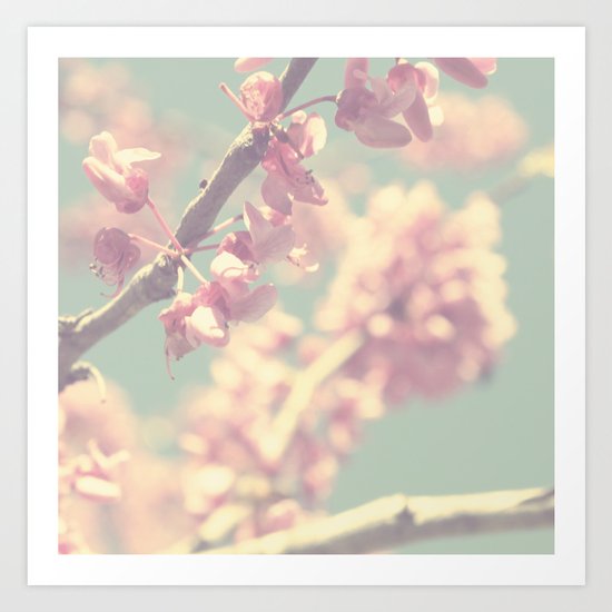 popcorn blossoms Art Print