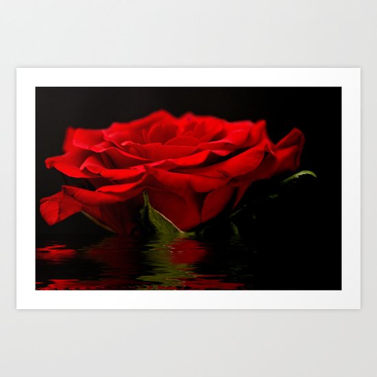 Red Rose Flood Art Print