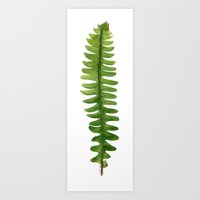 One Fern Art Print