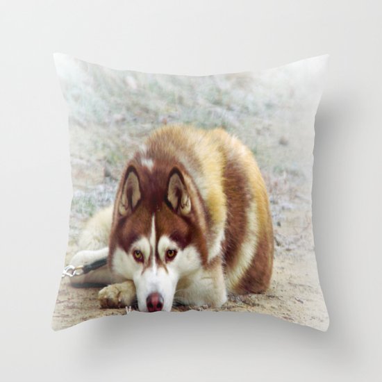 Siberian Husky Throw Pillow