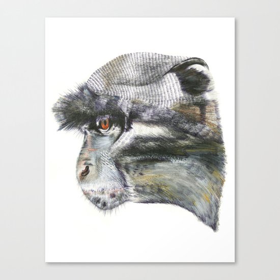 Sykes Monkey! Canvas Print