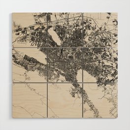 Mexico, Monterrey Map - Black and White  Wood Wall Art