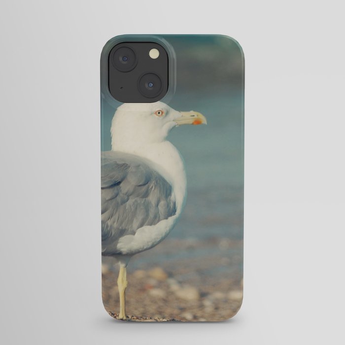 Swallow iPhone Case