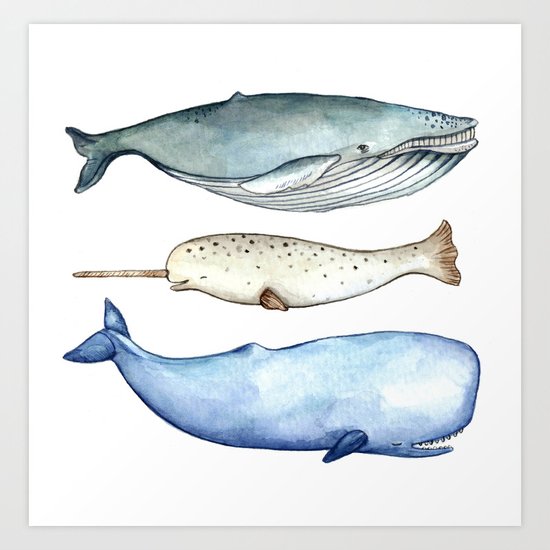 S'whale Art Print