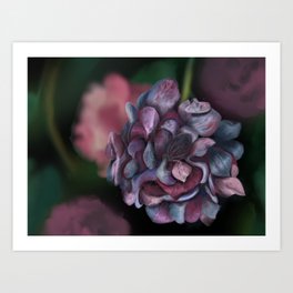 Hydrangea Bush  Art Print