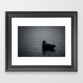 Lonely Duck Framed Art Print