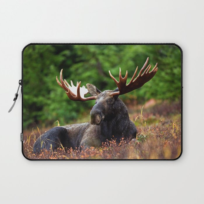 Relax Moose Laptop Sleeve