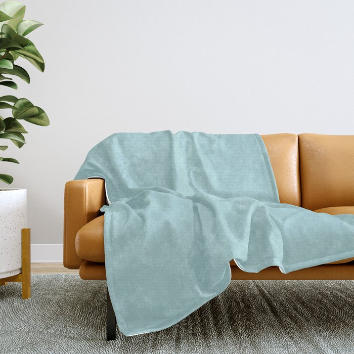 Robins egg 2025 blue throw blanket