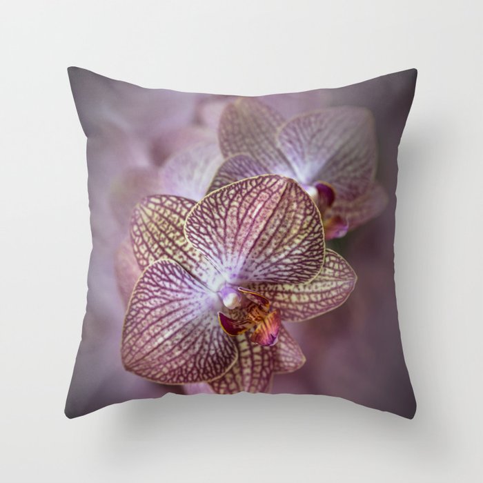 Blooming orchids Throw Pillow