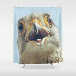 Common Kestrel Portrait Beak Wide Open (Falco tinnunculus) European kestrel. Shower Curtain | Beak, Common, Falcotinnunculus, Background, Bird, Brown, Kestrel, Portrait, Wild, Openbeak 