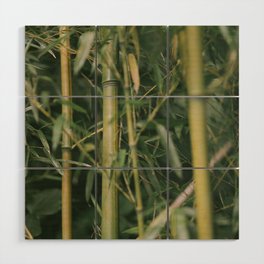 bamboo composition no.1 Wood Wall Art