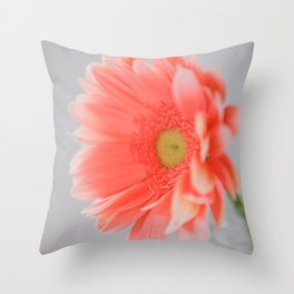 Pink Daisy Throw Pillow