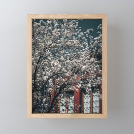 New York City Cherry blossom Framed Mini Art Print
