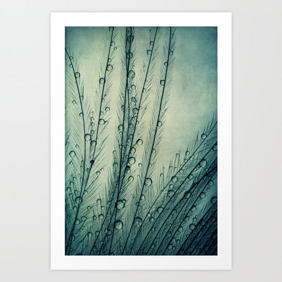Moody Blues Feather Drops Art Print
