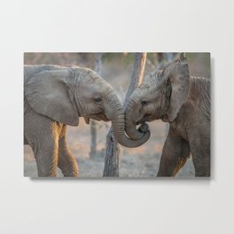Elephants cuddling Metal Print