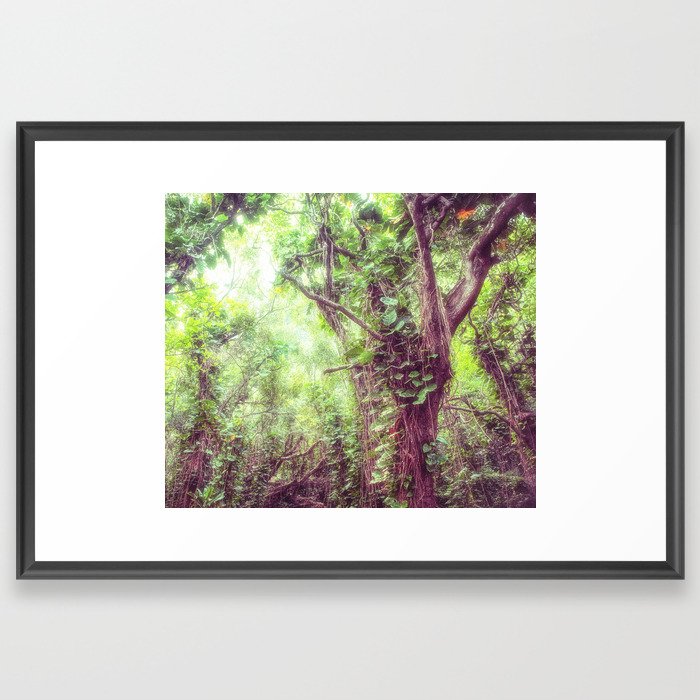 Dreamy Jungle Canopy Framed Art Print