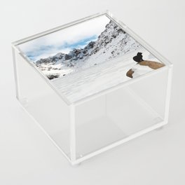 Argentina Photography - A Black Cat In The Snowy Mountain Terrain Acrylic Box
