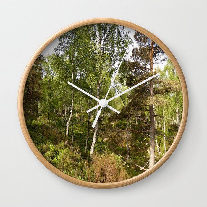 Scottish Highlands Spring Mixed Woodland Landscape Wall Clock