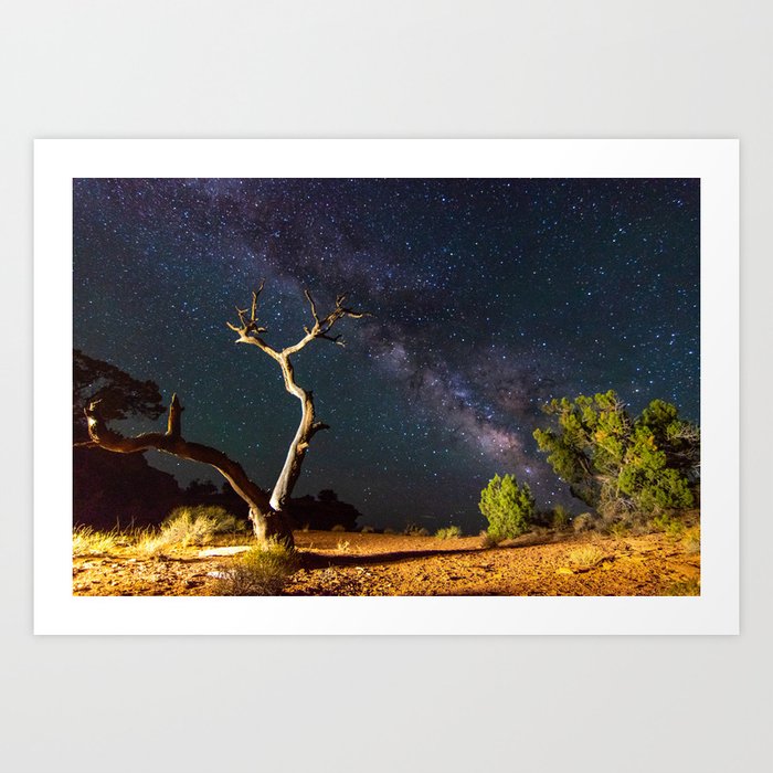 Tree Trunk Under Milky Way in Desert Art Print