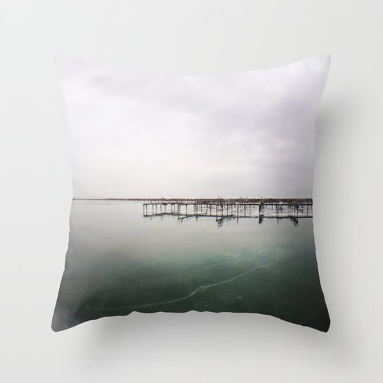 over the ice Throw Pillow