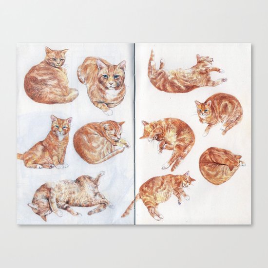 Rhubarb (my cat) studies Canvas Print