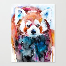 Red panda Canvas Print