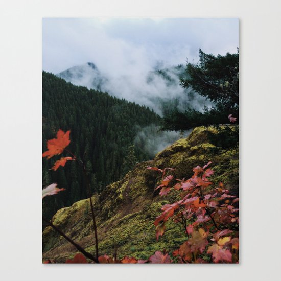 Salmon-Huckleberry Wilderness Canvas Print