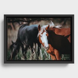 Wild and Free Framed Canvas