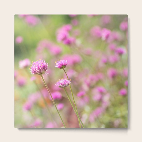 Color Metal Print
