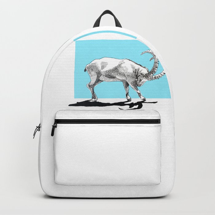 Ibex Blue Backpack