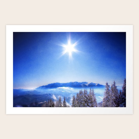 Morning Glory Art Print