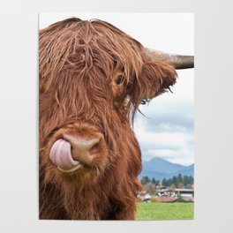Cute Highland Cow #1 #wall #art #society6  Poster