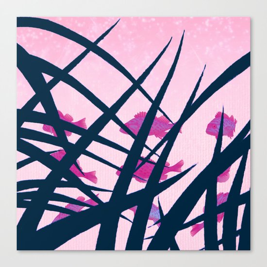 pink fish Canvas Print