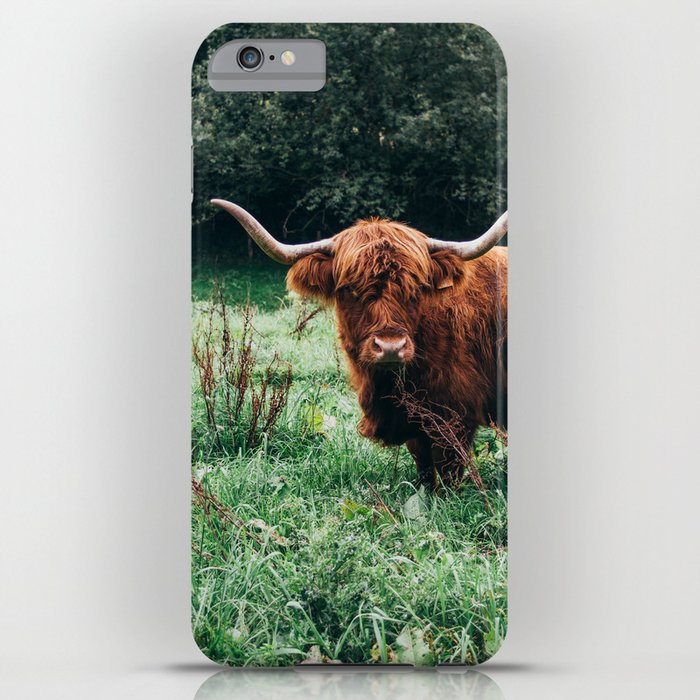  Scottish Highland Cow Print - Scottish Highland Photo - Animal Wall Art - Nature Photography iPhone Case