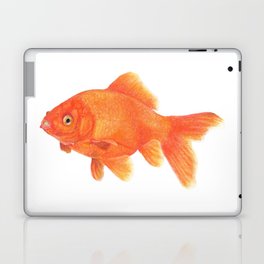 Gold Fish Laptop & iPad Skin