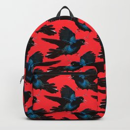 Foxy Iridescent Black Grackle Birds in Red Backpack