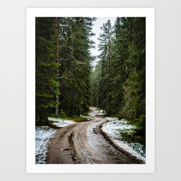 Winding forest road Art Print