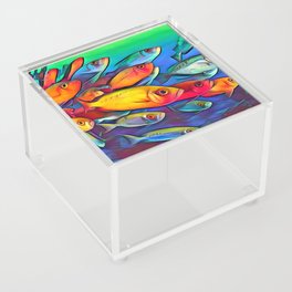 School of fish Acrylic Box