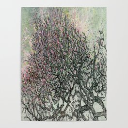 Pink Azaleas, Dark, Green Garden Passages Series; Aquatint Etching Poster