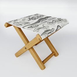 Collection of Various Reptiles Folding Stool