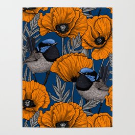 Fairy wrens and orange poppy flowers on dark blue Poster
